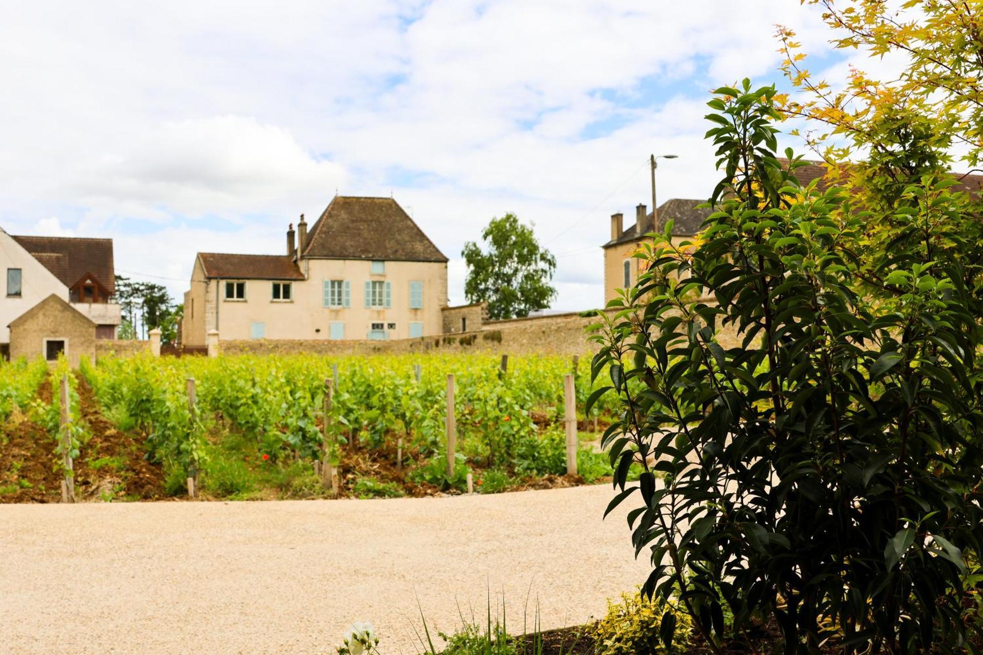 Hotel Particulier De Charme Les Reveries Du Clos Spa Et Restaurant Sur Reservation Pommard Extérieur photo